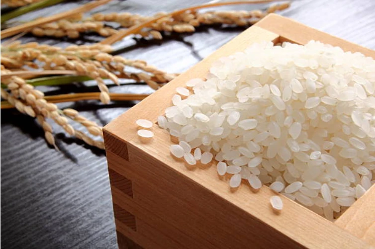 Battle of the Grains: Indica vs. Japonica Rice Explained